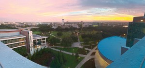 University of South Florida 2