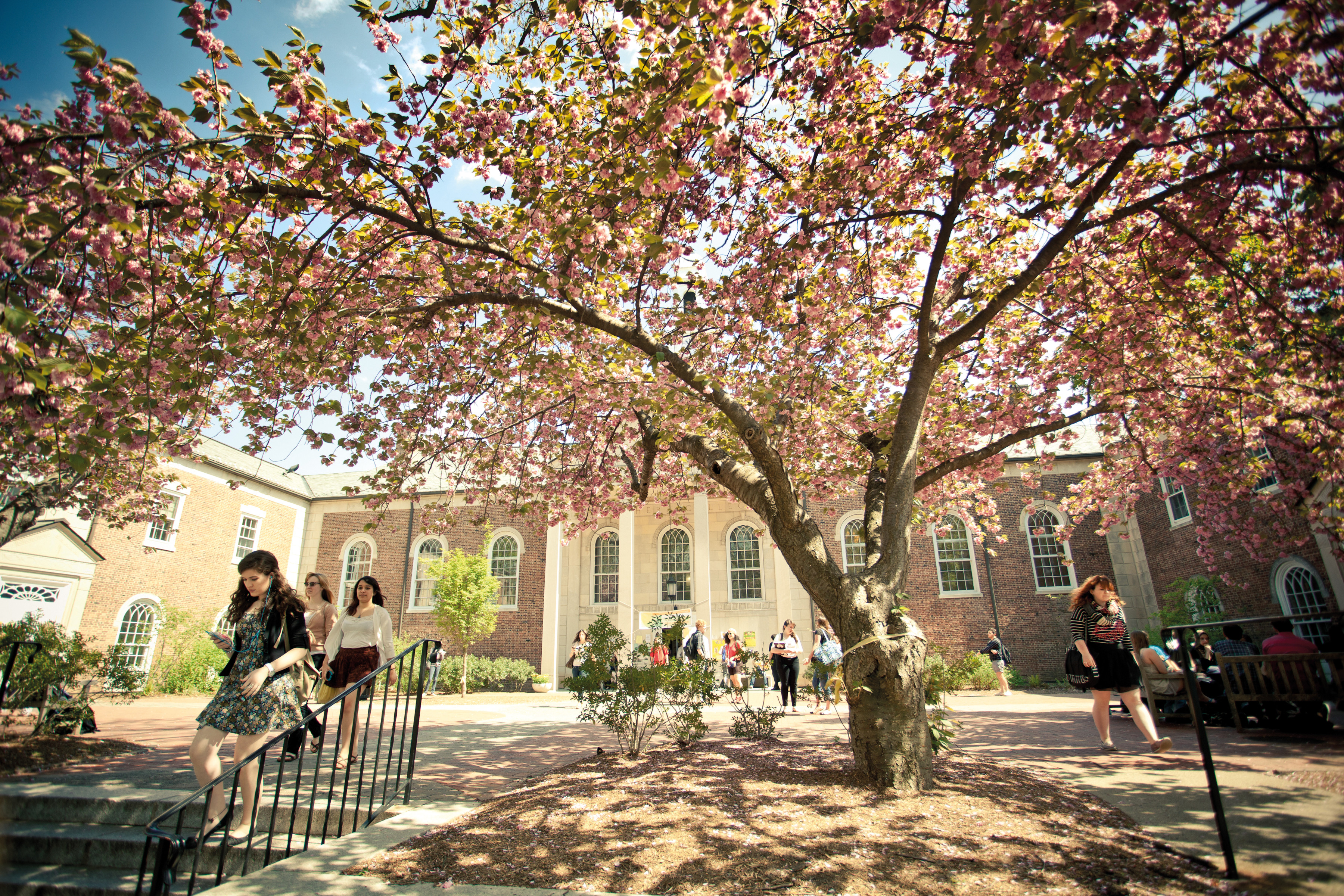 Drew University to Launch AI-Driven K-8 School on Campus