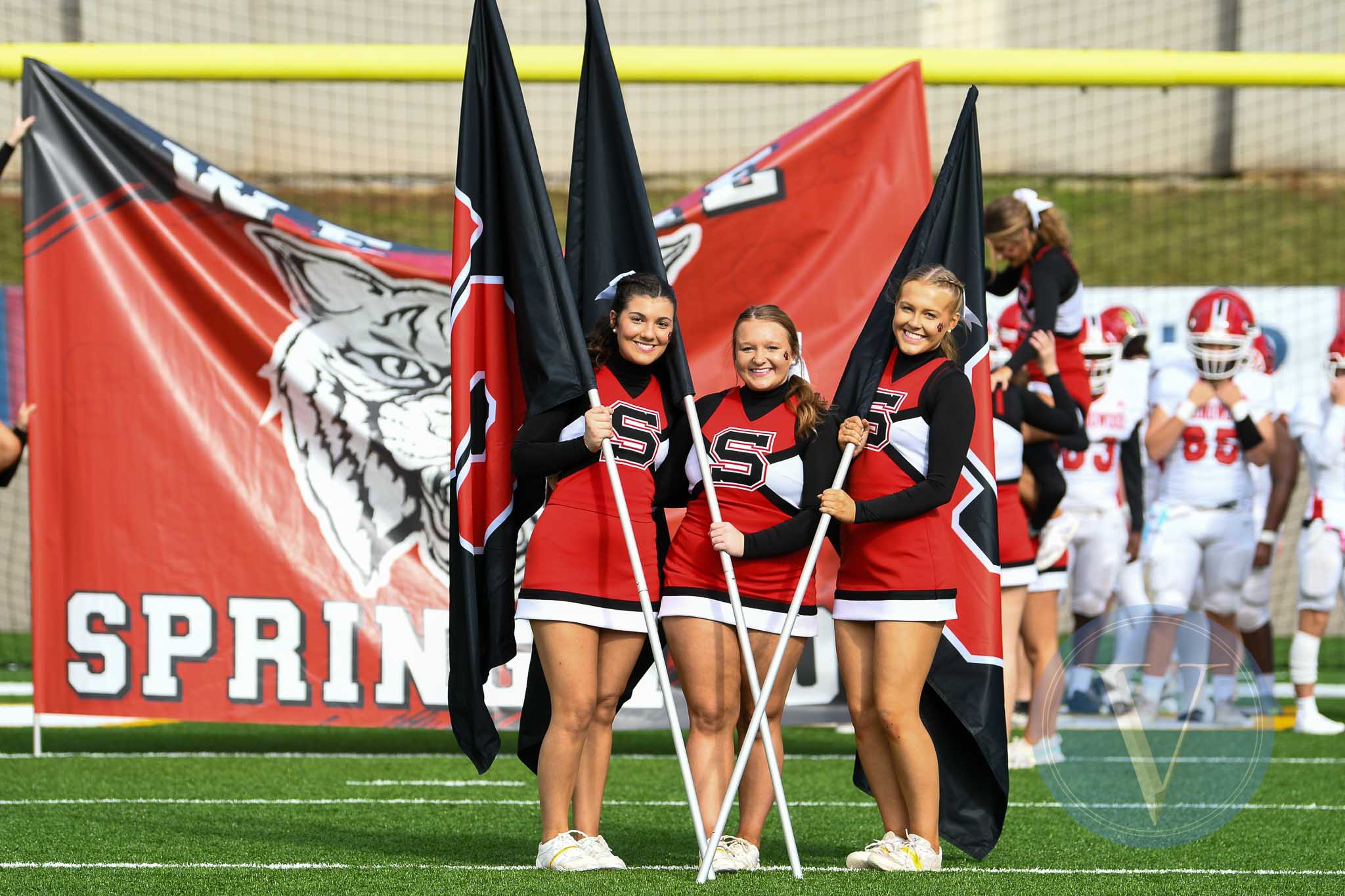 Springwood School International Education And Student Service IESS