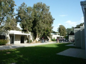 UCSD Area 2